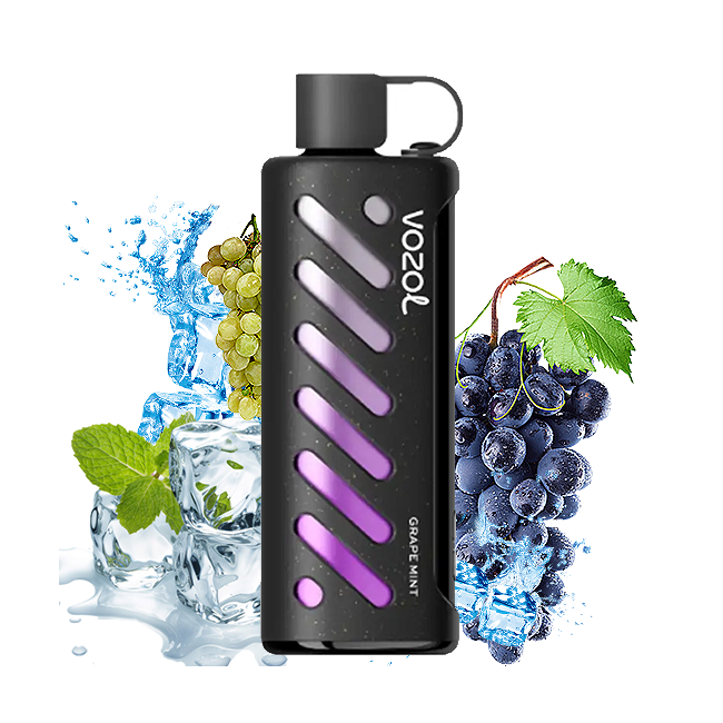 Vozol 25000 Puff Gear Shisha Üzüm Nane Grape Mint